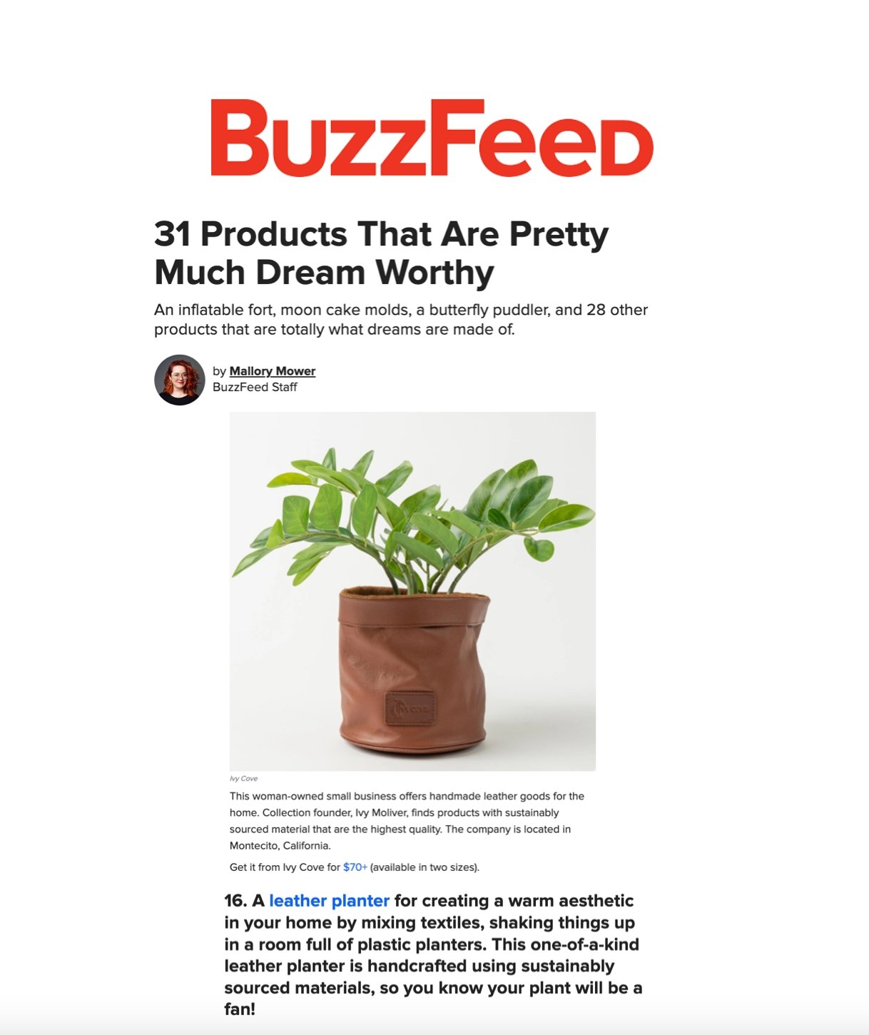 Dream Worthy According to Buzzfeed - Ivy Cove Montecito