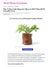 Our Driftwood Leather Planter Gets Love From Better Home & Gardens - Ivy Cove Montecito