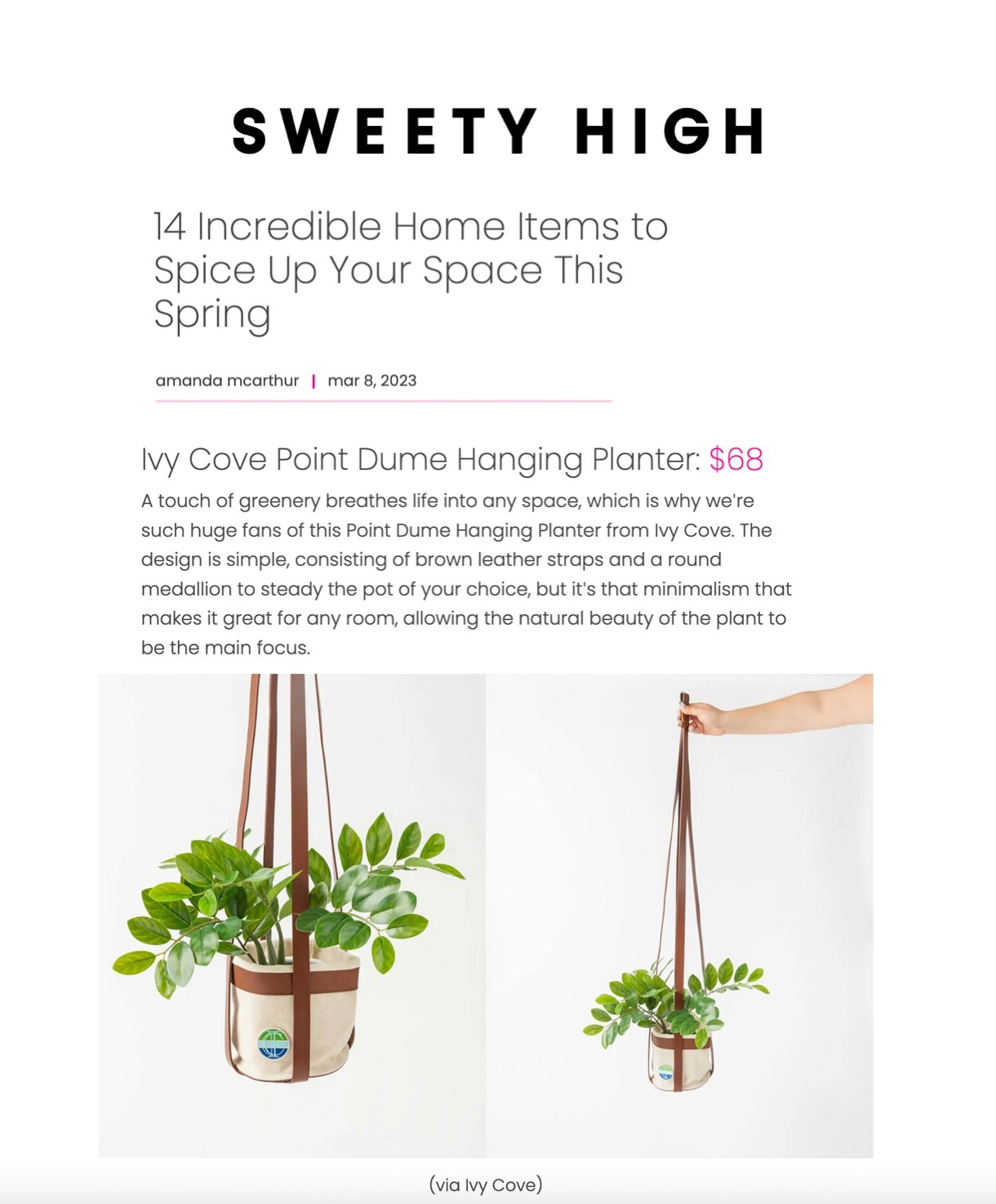 Spice Up Your Space with Sweety High