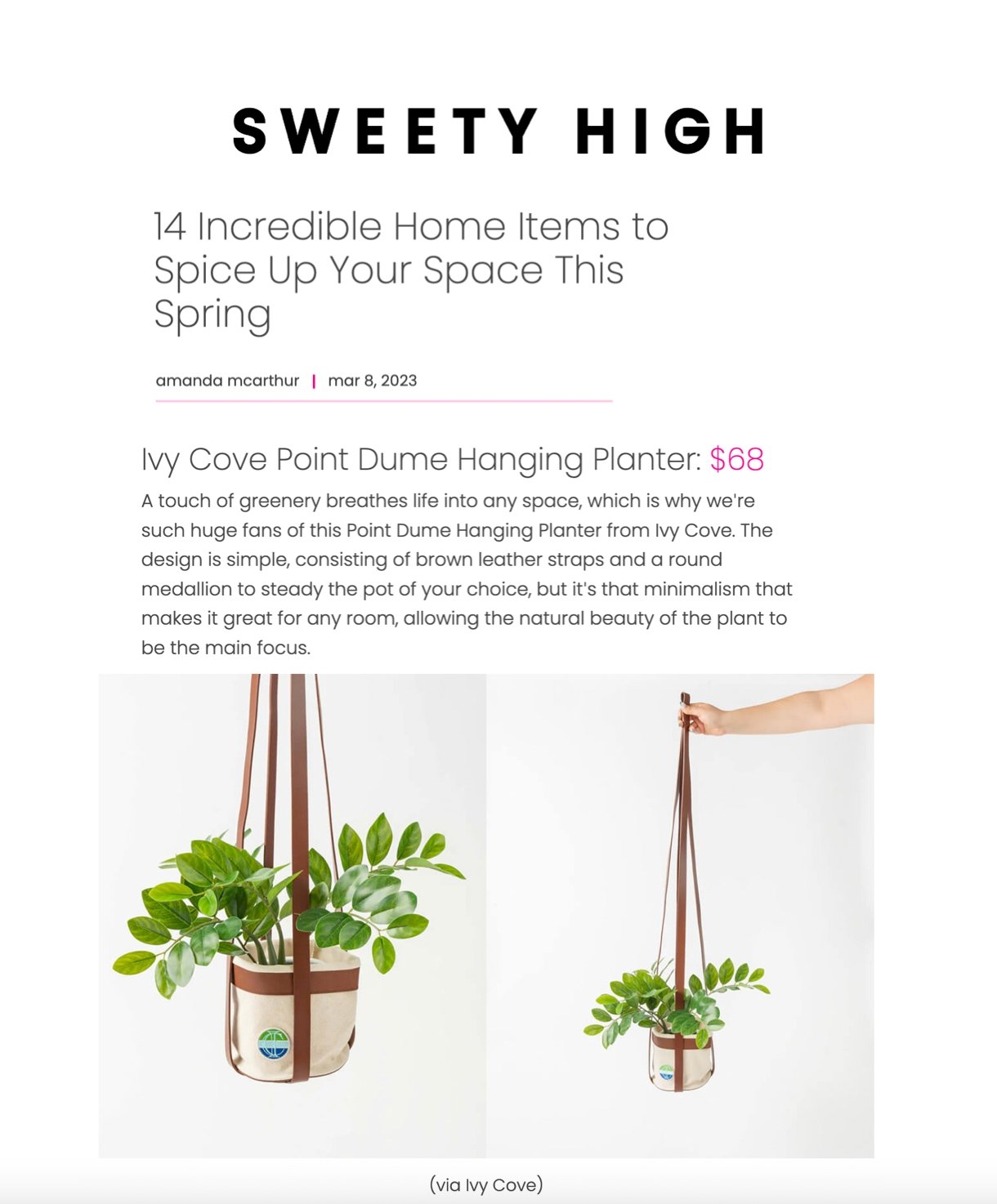 Spice Up Your Space with Sweety High - Ivy Cove Montecito