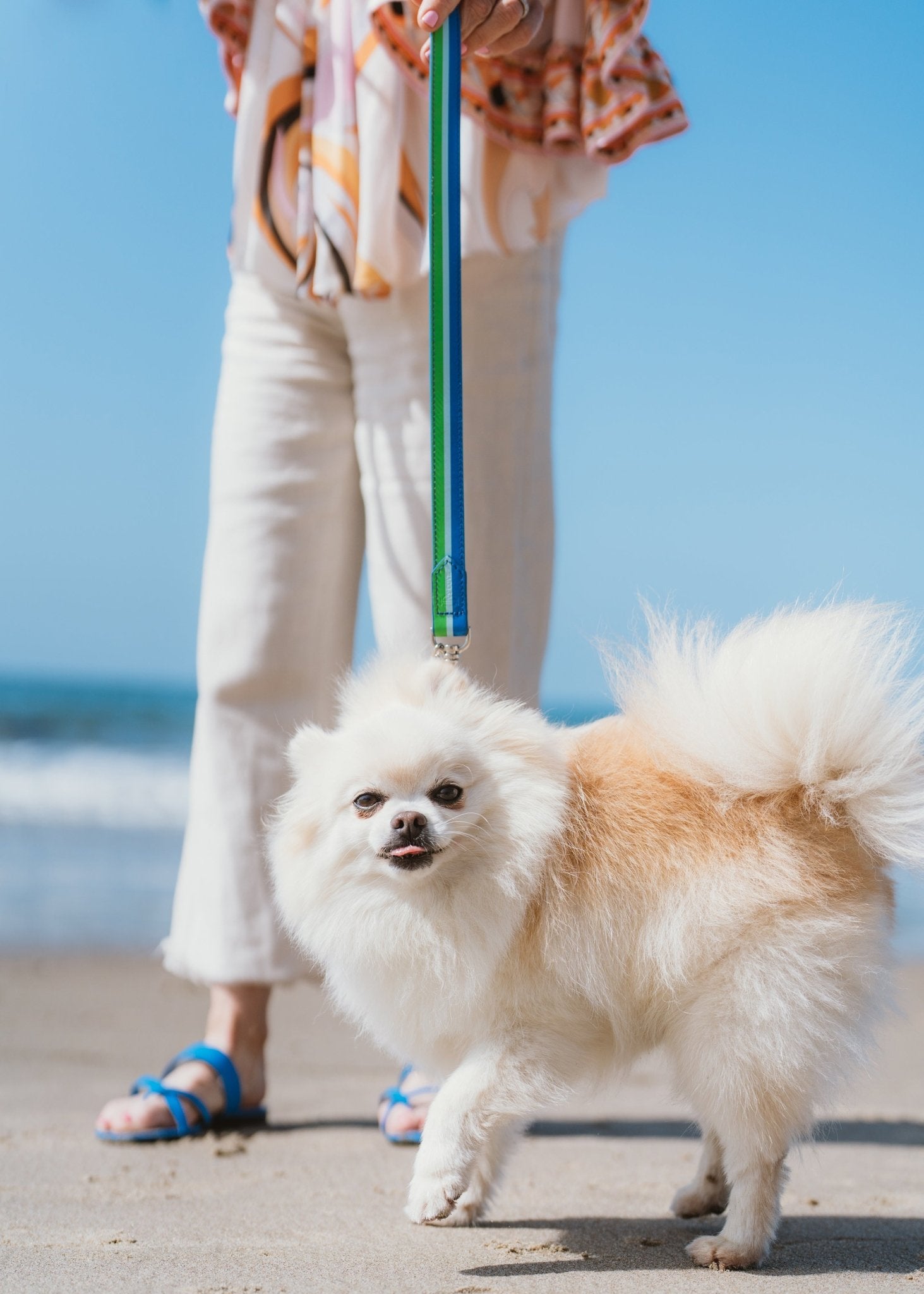 Pet Accessories - Ivy Cove Montecito