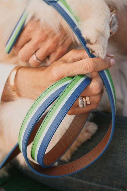 Bam Bam Dog Leash - Ivy Cove Montecito