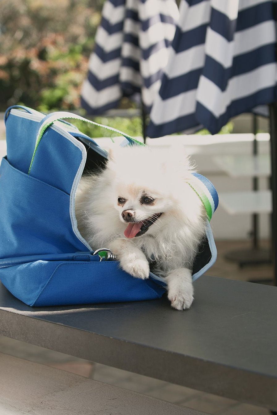 Hopper Pet Carrier - Ivy Cove Montecito