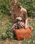 Morro Zip Tote - Ivy Cove Montecito