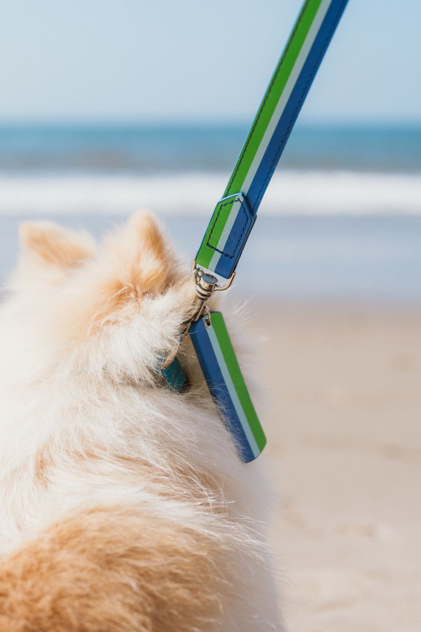 Bam Bam Dog Leash - Ivy Cove Montecito