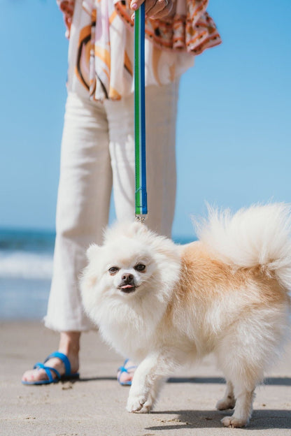 Bam Bam Dog Leash - Ivy Cove Montecito