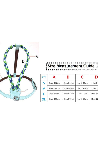 Blue Lagoon Dog Harness - Ivy Cove Montecito