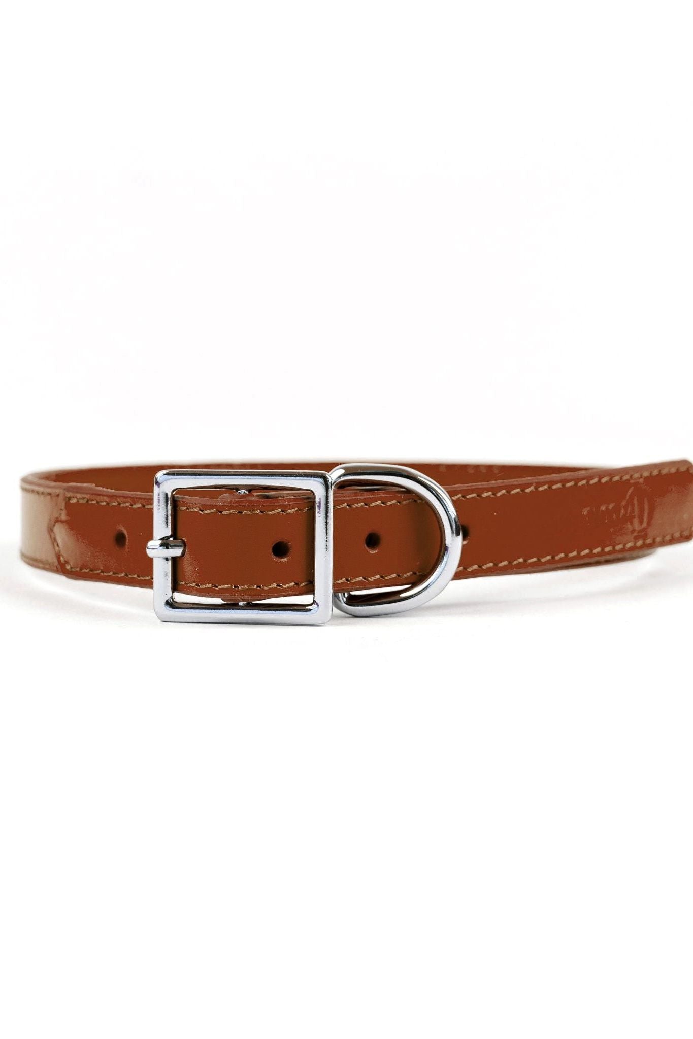 Crusher Dog Collar - Ivy Cove Montecito