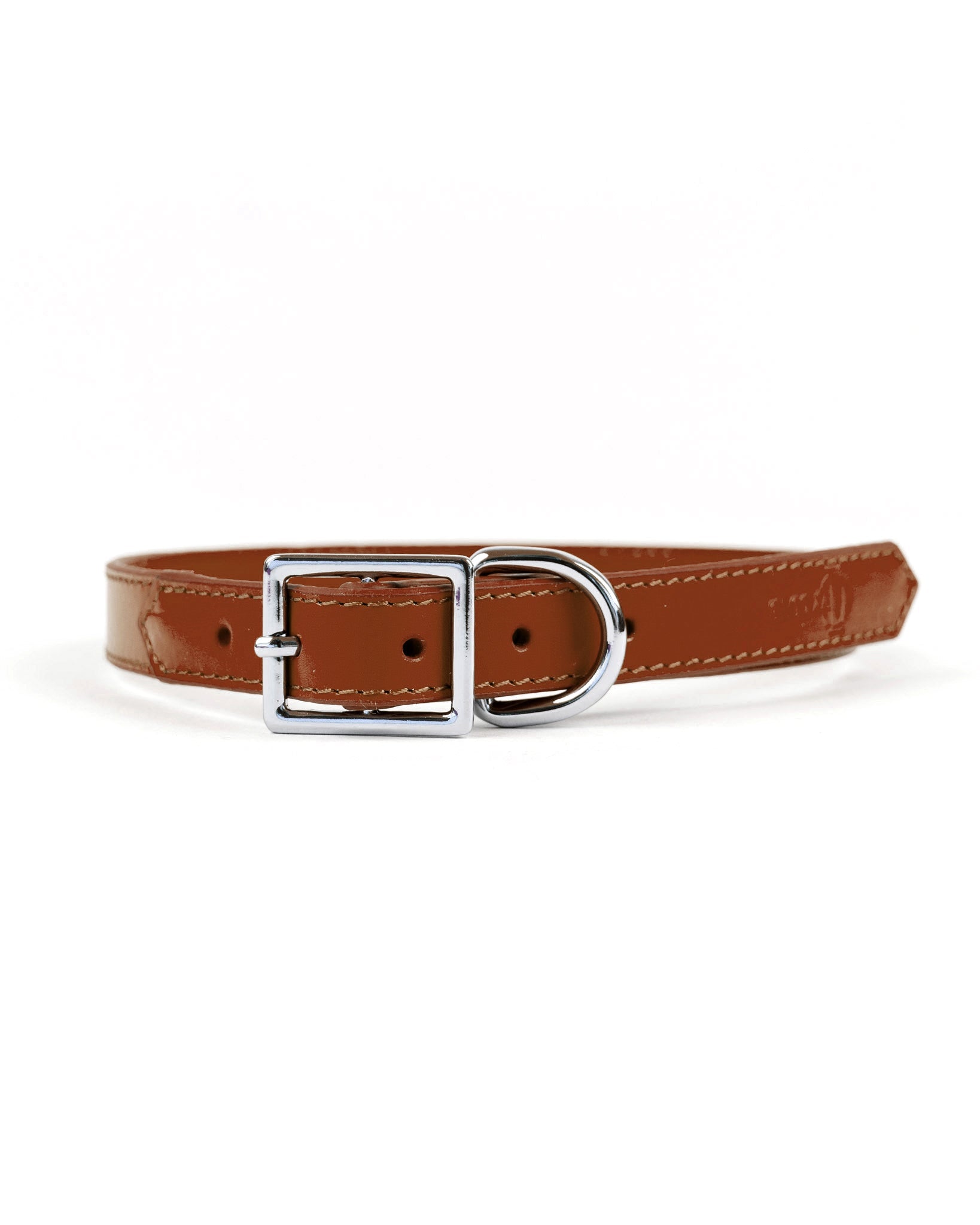 Crusher Dog Collar - Ivy Cove Montecito