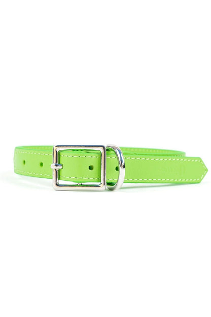 Crusher Dog Collar - Ivy Cove Montecito