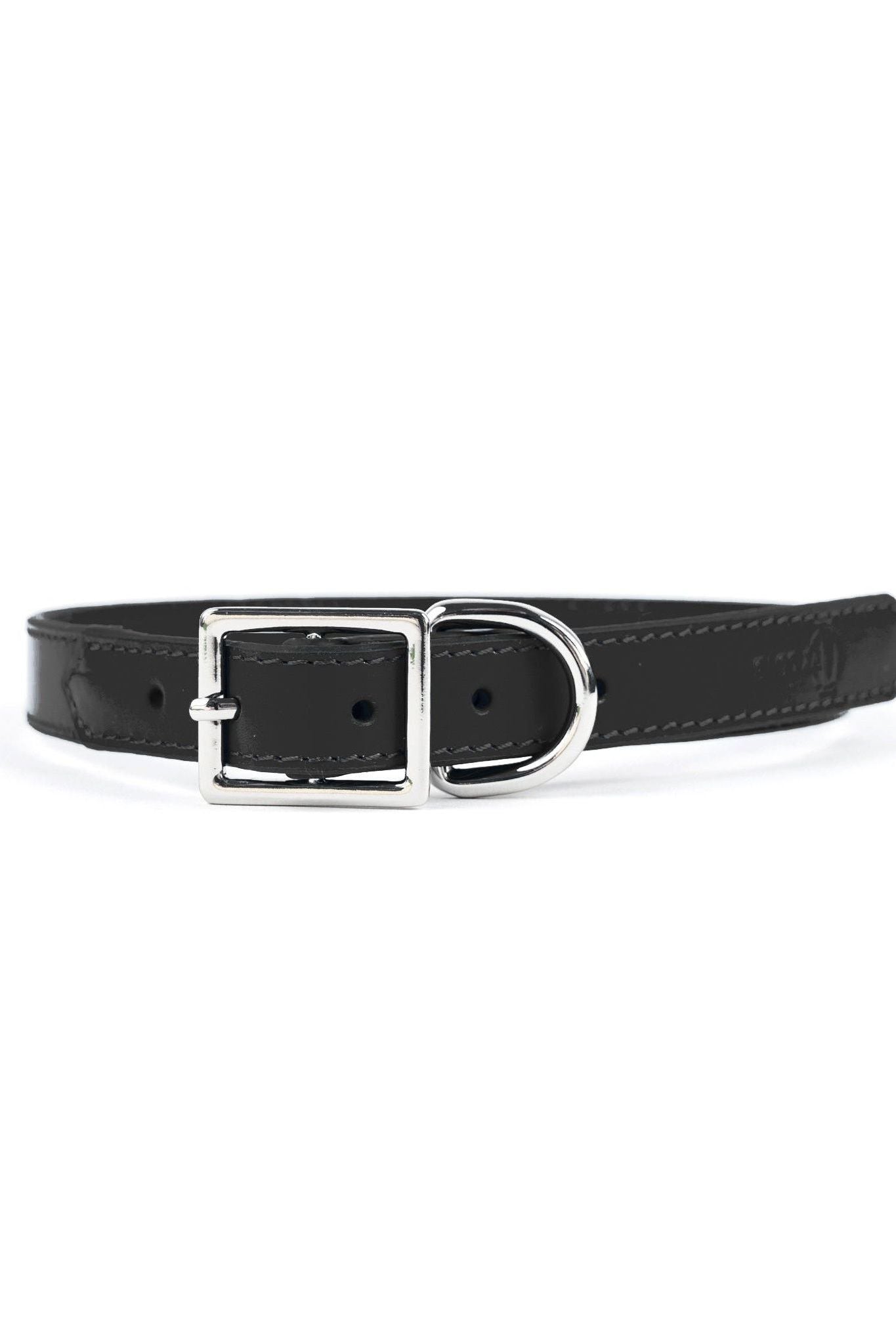 Crusher Dog Collar - Ivy Cove Montecito