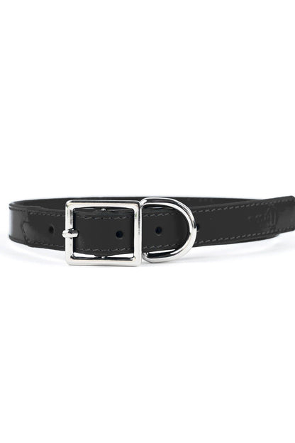 Crusher Dog Collar - Ivy Cove Montecito