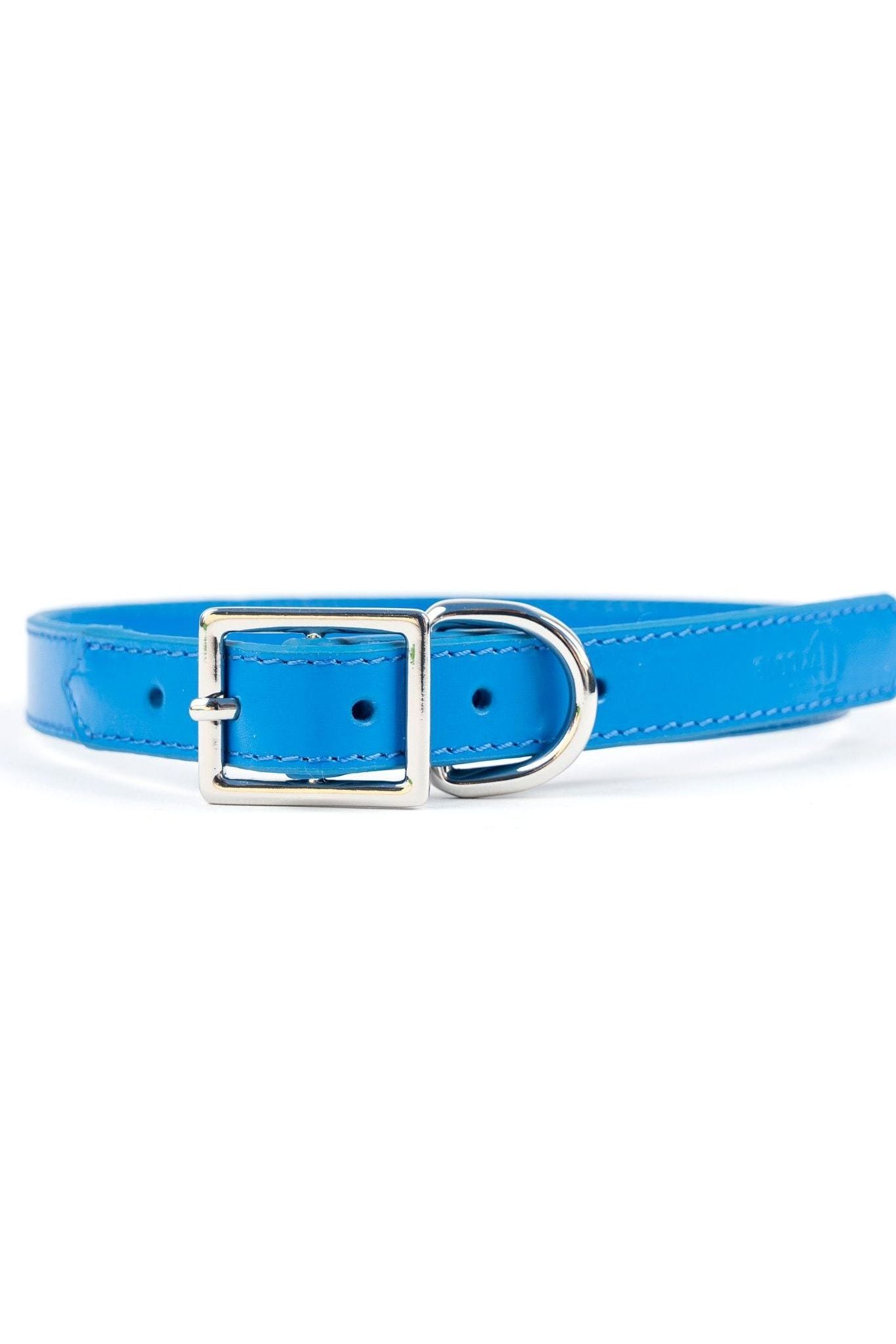 Crusher Dog Collar - Ivy Cove Montecito