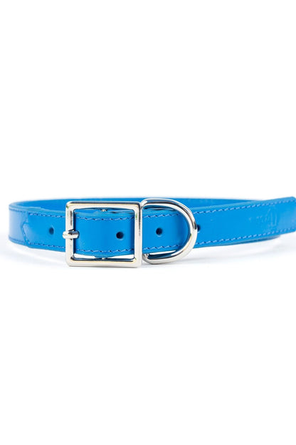 Crusher Dog Collar - Ivy Cove Montecito