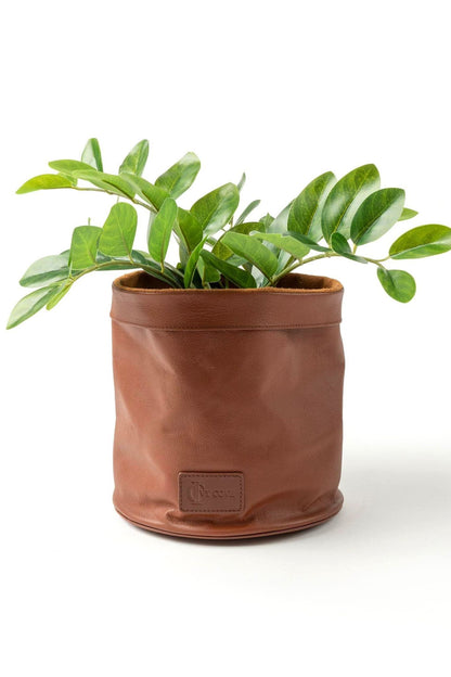 Driftwood Leather Planter - Ivy Cove Montecito
