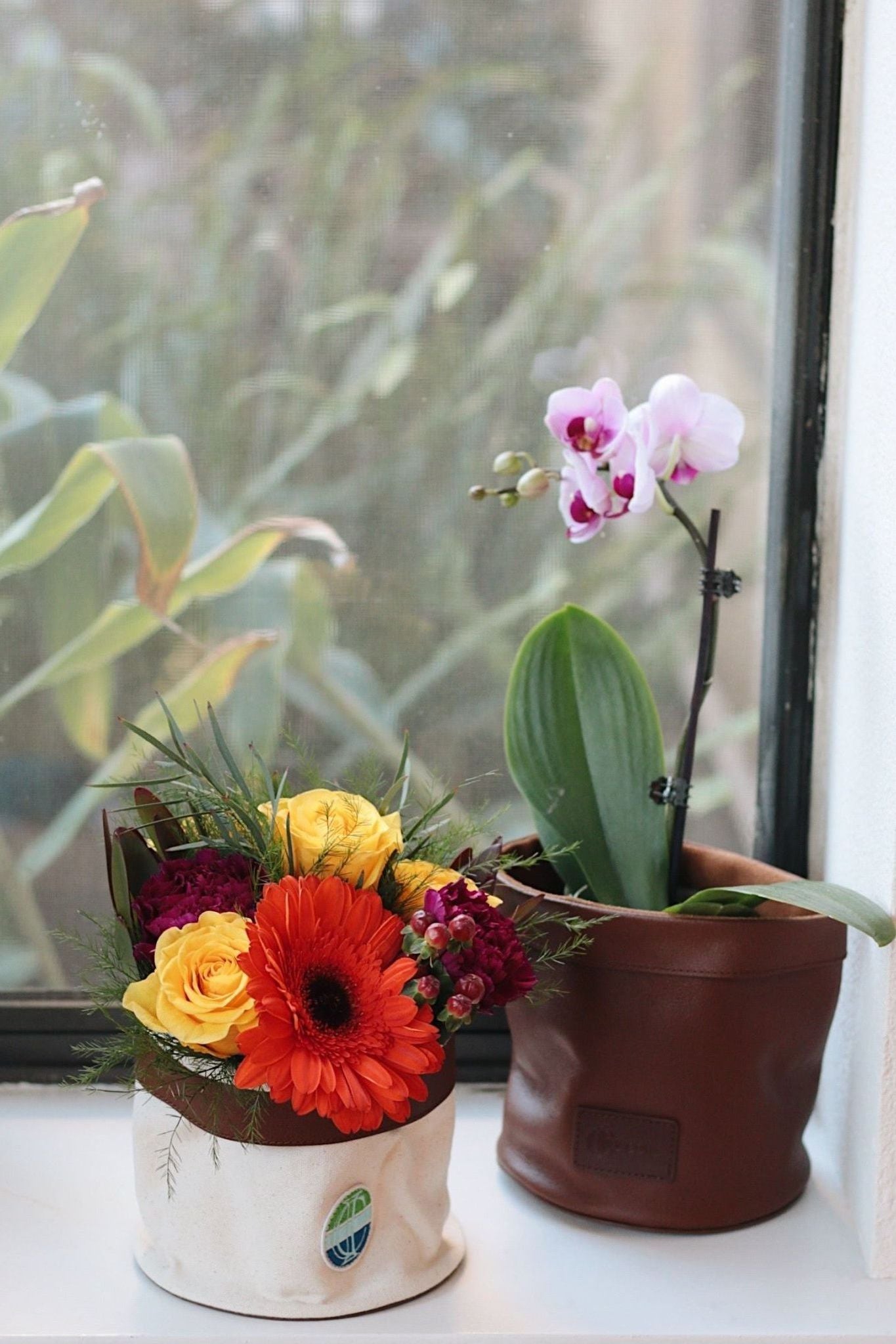 Driftwood Leather Planter - Ivy Cove Montecito