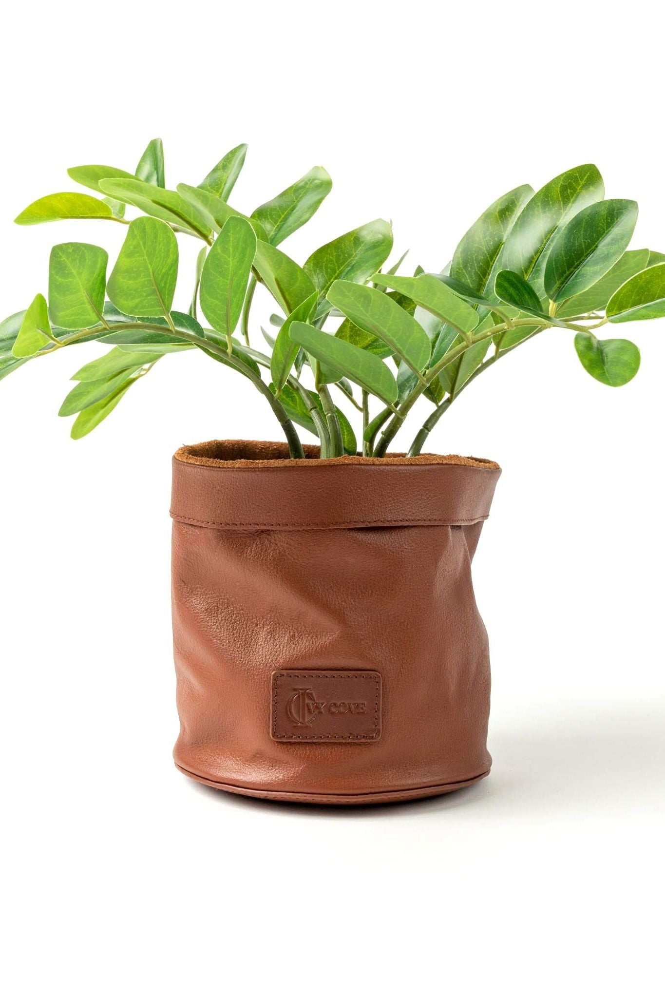Driftwood Leather Planter - Ivy Cove Montecito