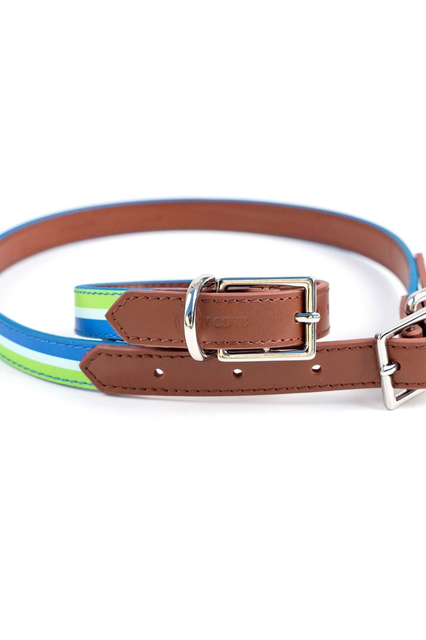 Durango Dog Collar - Ivy Cove Montecito