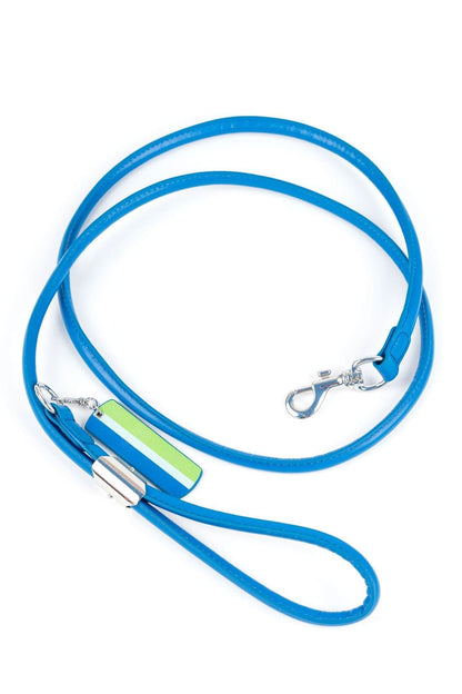 Lodi Dog Leash - Ivy Cove Montecito