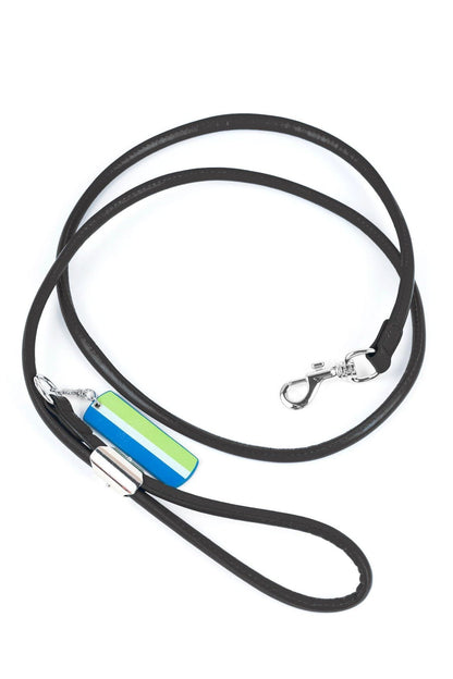Lodi Dog Leash - Ivy Cove Montecito