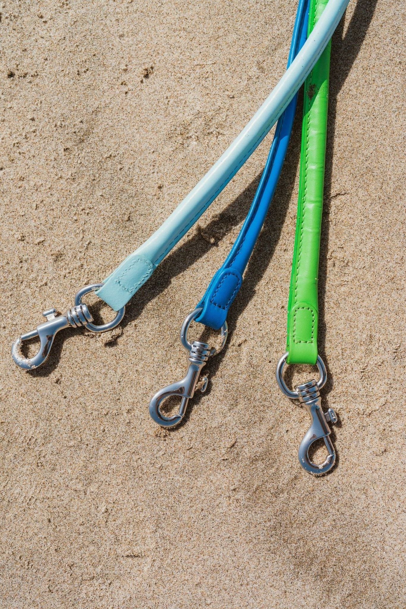 Lodi Dog Leash - Ivy Cove Montecito