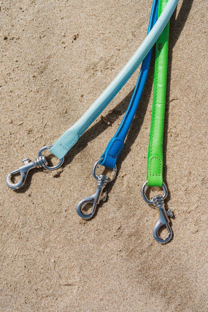 Lodi Dog Leash - Ivy Cove Montecito