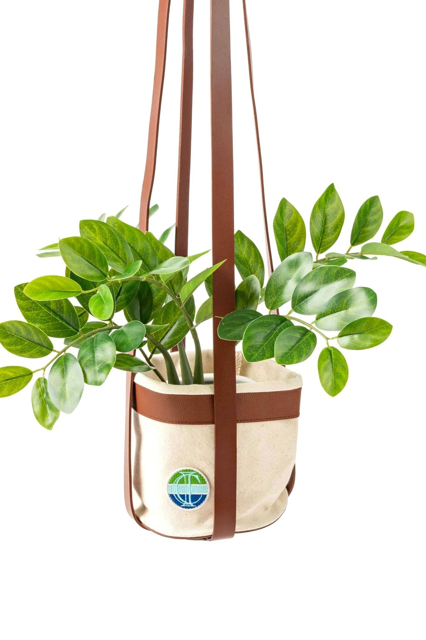 Point Dume Hanging Planter - Ivy Cove Montecito