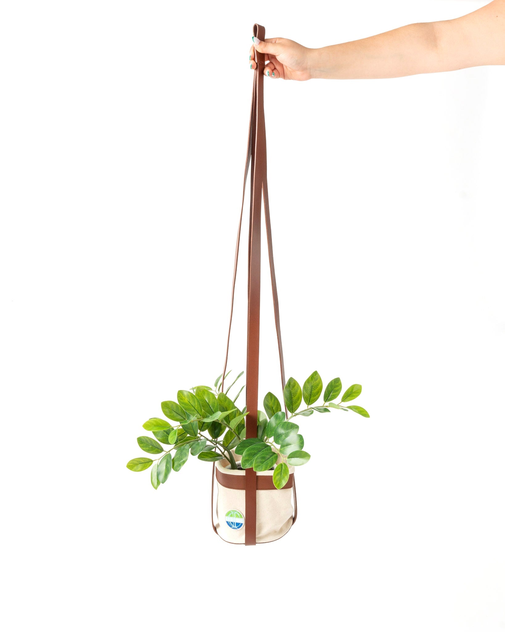 Point Dume Hanging Planter - Ivy Cove Montecito